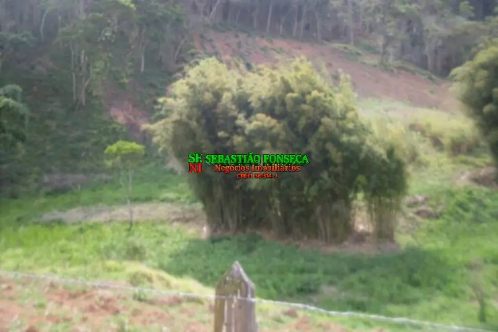 Sítio / Rancho com 3 quartos à venda, 605000m2 em Centro, Cachoeira Paulista - SP - imagem 7 Foto 7 de Sítio / Rancho com 3 quartos à venda, 605000m2 em Centro, Cachoeira Paulista - SP