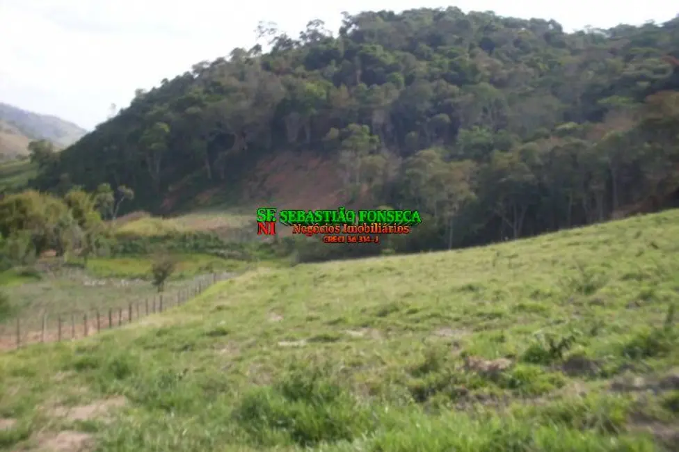 Sítio / Rancho com 3 quartos à venda, 605000m2 em Centro, Cachoeira Paulista - SP - imagem 5 Foto 5 de Sítio / Rancho com 3 quartos à venda, 605000m2 em Centro, Cachoeira Paulista - SP