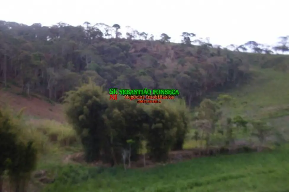Sítio / Rancho com 3 quartos à venda, 605000m2 em Centro, Cachoeira Paulista - SP - imagem 3 Foto 3 de Sítio / Rancho com 3 quartos à venda, 605000m2 em Centro, Cachoeira Paulista - SP
