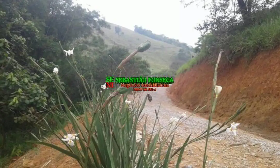 Foto 3 de Sítio / Rancho com 2 quartos à venda, 54000m2 em Sao Jose Dos Campos - SP