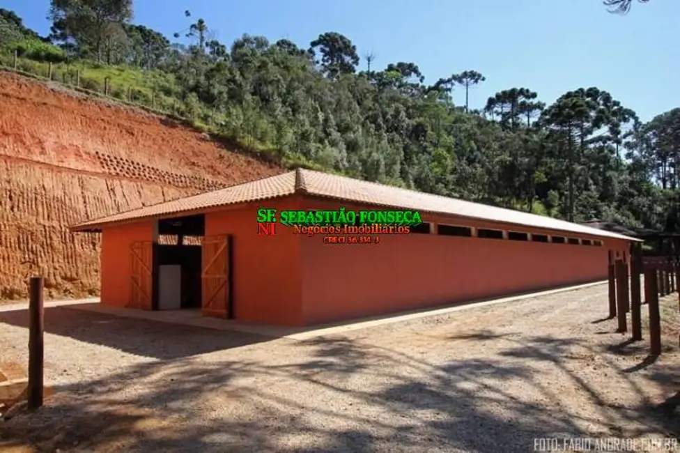 Foto 3 de Fazenda / Haras com 4 quartos à venda, 871200m2 em Centro, Santo Antonio Do Pinhal - SP