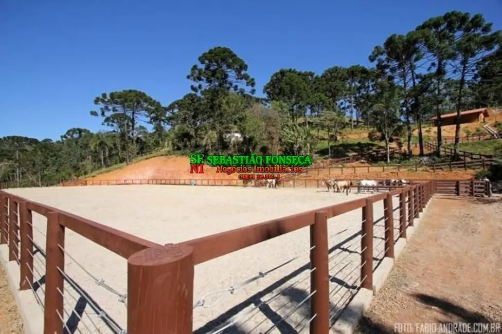 Foto 5 de Fazenda / Haras com 4 quartos à venda, 871200m2 em Centro, Santo Antonio Do Pinhal - SP