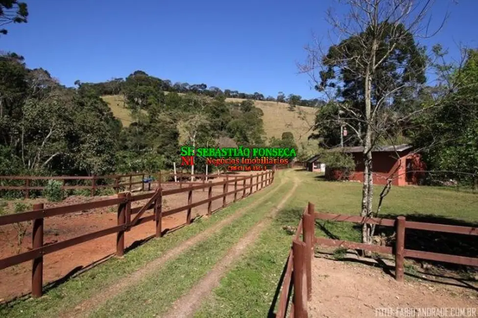 Foto 9 de Fazenda / Haras com 4 quartos à venda, 871200m2 em Centro, Santo Antonio Do Pinhal - SP