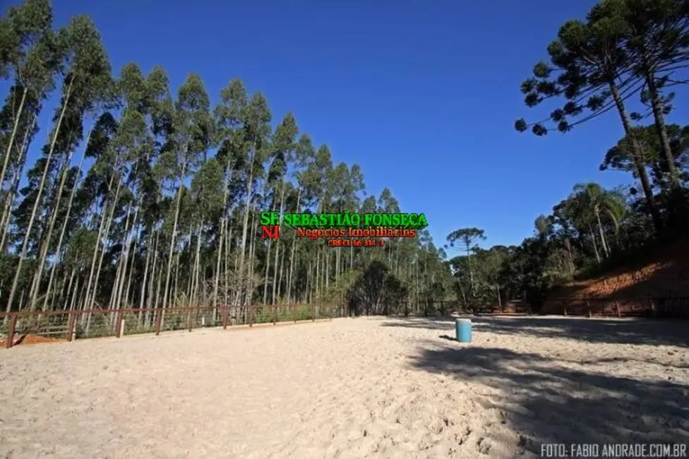 Foto 7 de Fazenda / Haras com 4 quartos à venda, 871200m2 em Centro, Santo Antonio Do Pinhal - SP