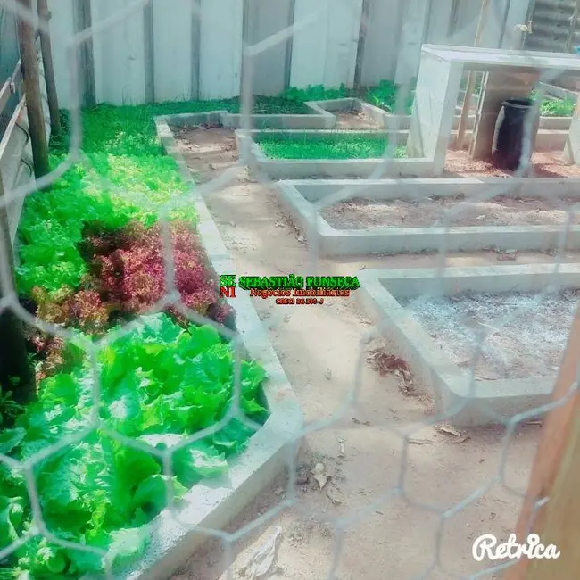 Sítio / Rancho com 2 quartos à venda, 48000m2 em Centro, Paraibuna - SP - imagem 8 Foto 8 de Sítio / Rancho com 2 quartos à venda, 48000m2 em Centro, Paraibuna - SP