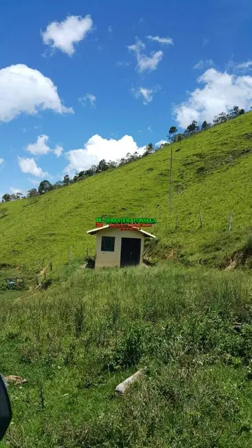 Foto 5 de Sítio / Rancho com 5 quartos à venda, 43m2 em Centro, Passa Quatro - MG
