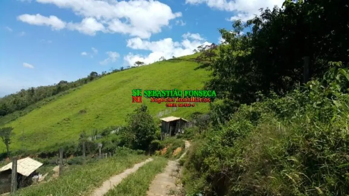 Foto 2 de Sítio / Rancho com 5 quartos à venda, 43m2 em Centro, Passa Quatro - MG