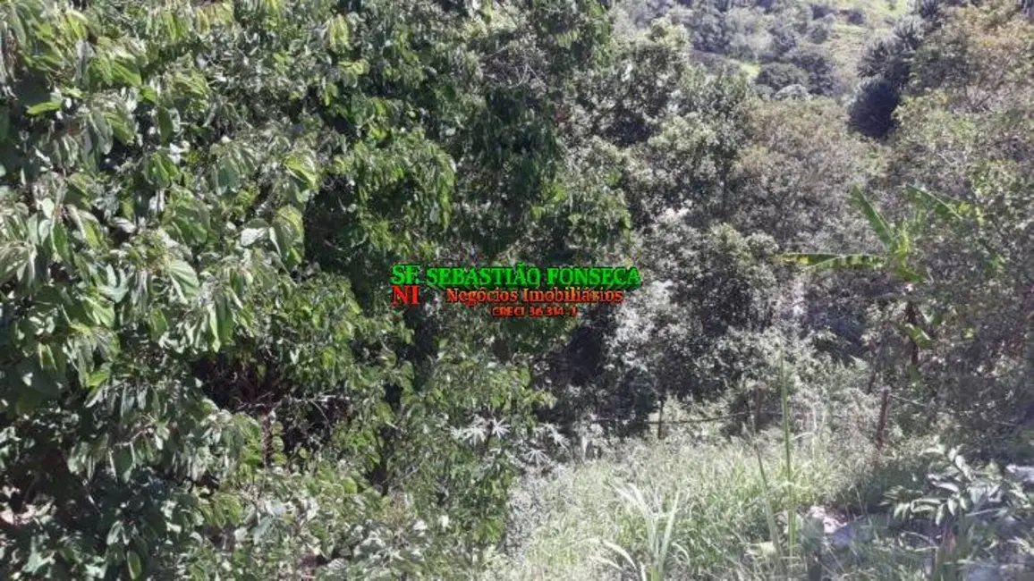 Chácara com 3 quartos à venda, 400m2 em Centro, Paraibuna - SP - imagem 7 Foto 7 de Chácara com 3 quartos à venda, 400m2 em Centro, Paraibuna - SP