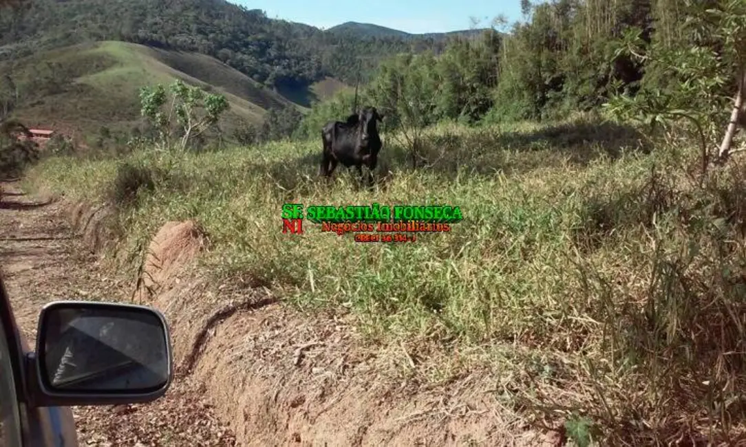 Chácara com 2 quartos à venda, 30000m2 em Centro, Paraibuna - SP - imagem 5 Foto 5 de Chácara com 2 quartos à venda, 30000m2 em Centro, Paraibuna - SP