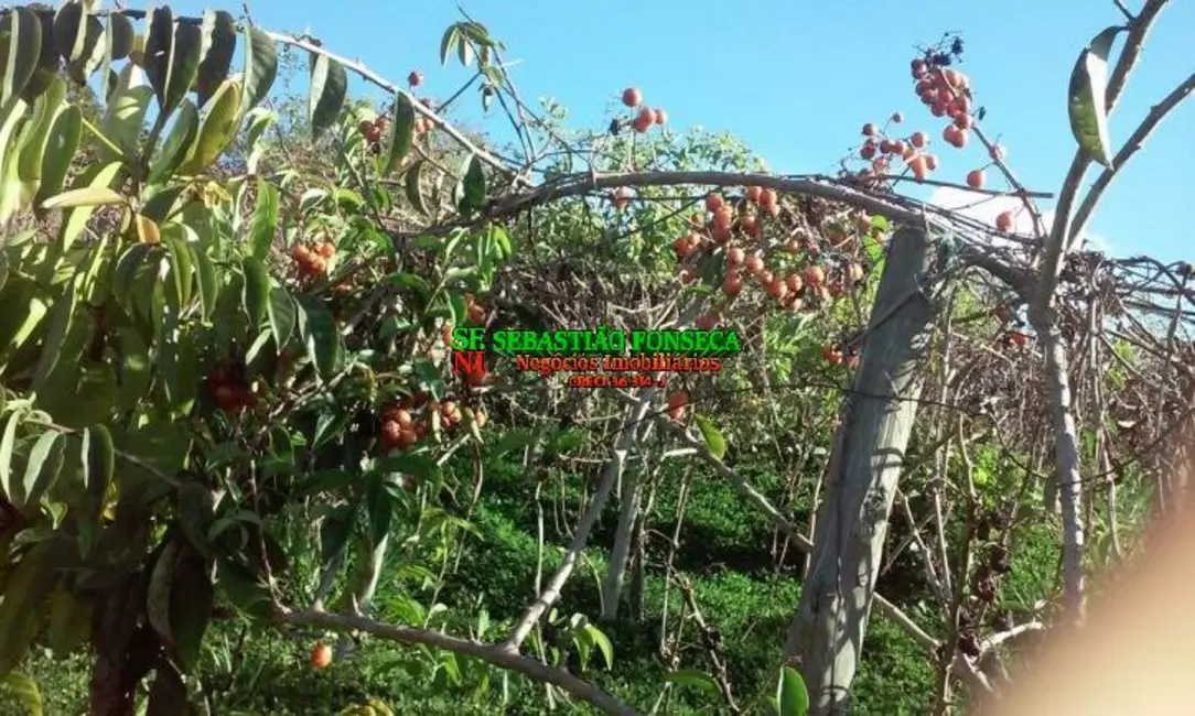 Chácara com 2 quartos à venda, 30000m2 em Centro, Paraibuna - SP - imagem 3 Foto 3 de Chácara com 2 quartos à venda, 30000m2 em Centro, Paraibuna - SP
