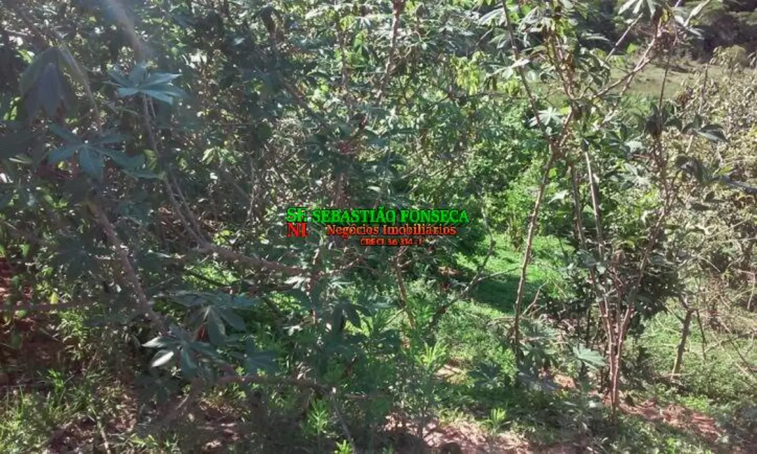 Chácara com 2 quartos à venda, 30000m2 em Centro, Paraibuna - SP - imagem 6 Foto 6 de Chácara com 2 quartos à venda, 30000m2 em Centro, Paraibuna - SP