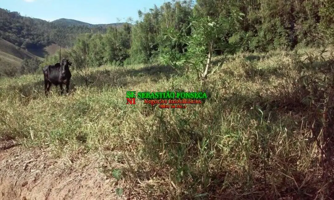 Chácara com 2 quartos à venda, 30000m2 em Centro, Paraibuna - SP - imagem 8 Foto 8 de Chácara com 2 quartos à venda, 30000m2 em Centro, Paraibuna - SP