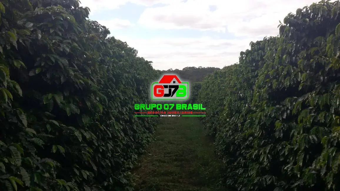 Foto 8 de Fazenda / Haras com 3 quartos à venda, 34m2 em Centro, Soledade De Minas - MG