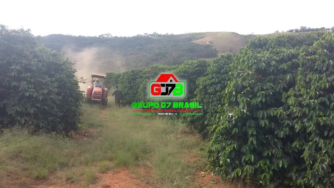 Foto 1 de Fazenda / Haras com 3 quartos à venda, 34m2 em Centro, Soledade De Minas - MG