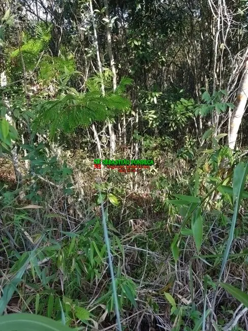 Foto 3 de Chácara à venda, 1110m2 em Jambeiro - SP