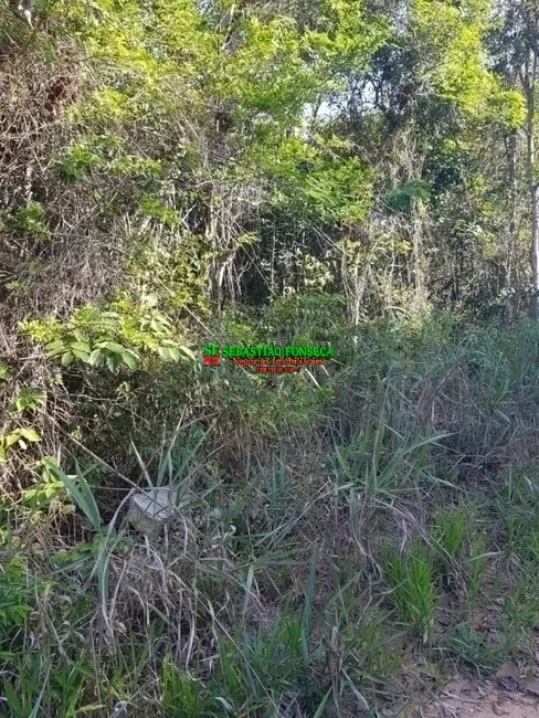 Foto 2 de Chácara à venda, 1110m2 em Jambeiro - SP
