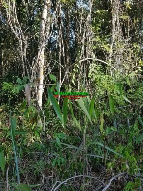 Foto 5 de Chácara à venda, 1110m2 em Jambeiro - SP