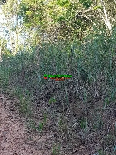 Foto 4 de Chácara à venda, 1110m2 em Jambeiro - SP