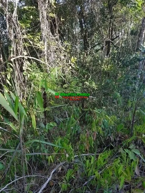 Foto 6 de Chácara à venda, 1110m2 em Jambeiro - SP