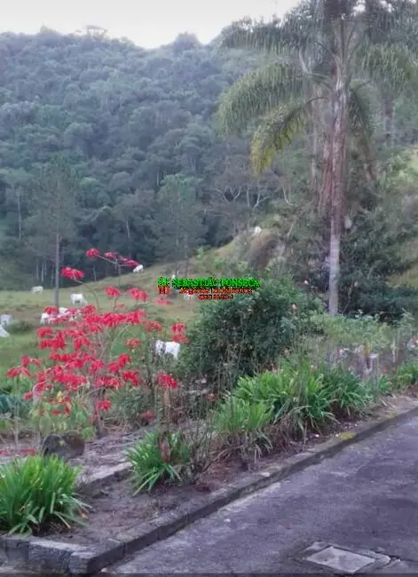 Foto 3 de Fazenda / Haras à venda, 74m2 em Centro, Natividade Da Serra - SP
