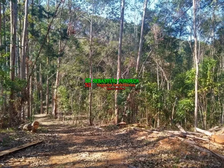 Foto 5 de Fazenda / Haras à venda, 140m2 em Centro, Cachoeira Paulista - SP