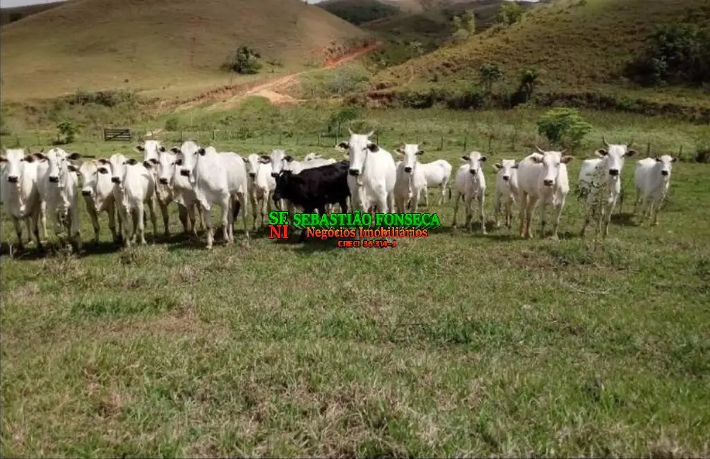 Foto 1 de Fazenda / Haras à venda, 140m2 em Centro, Cachoeira Paulista - SP