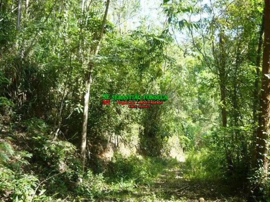 Foto 4 de Sítio / Rancho à venda, 30000m2 em Monteiro Lobato - SP