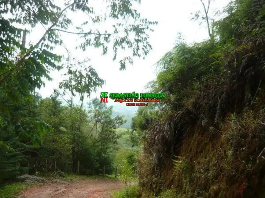 Foto 2 de Sítio / Rancho à venda, 30000m2 em Monteiro Lobato - SP