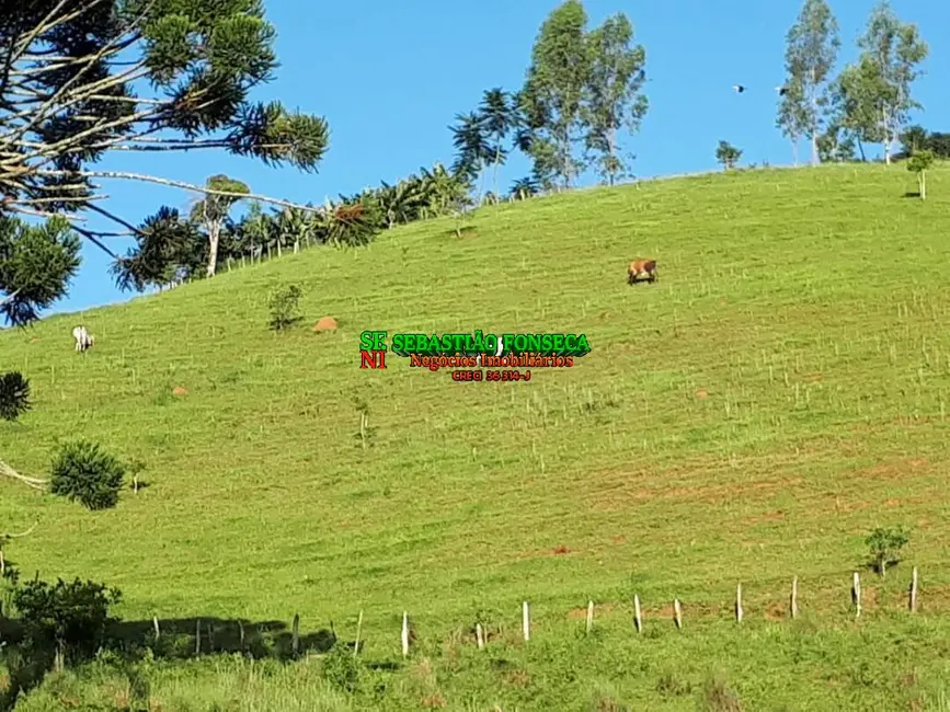Foto 4 de Sítio / Rancho com 2 quartos à venda, 80m2 em Centro, Virginia - MG