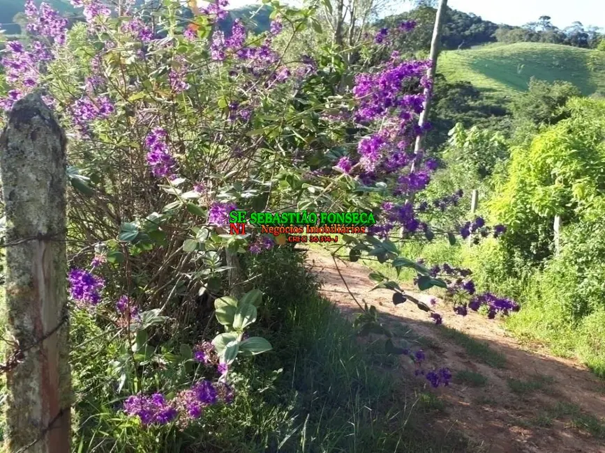 Foto 3 de Sítio / Rancho com 2 quartos à venda, 80m2 em Centro, Virginia - MG