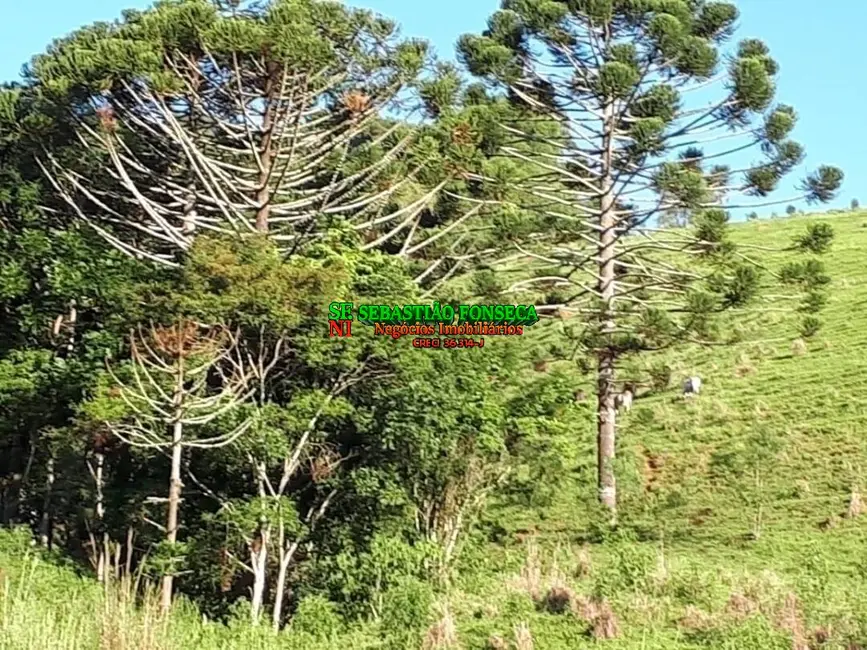 Foto 2 de Sítio / Rancho com 2 quartos à venda, 80m2 em Centro, Virginia - MG