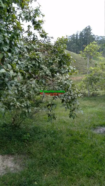 Foto 9 de Sítio / Rancho à venda em Sao Jose Dos Campos - SP