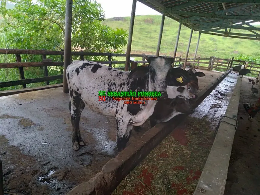 Foto 2 de Sítio / Rancho à venda em Sao Jose Dos Campos - SP