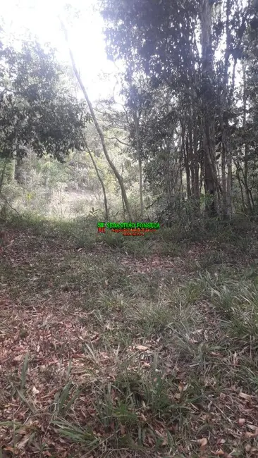 Sítio / Rancho com 2 quartos à venda, 121000m2 em Centro, Paraibuna - SP - imagem 6 Foto 6 de Sítio / Rancho com 2 quartos à venda, 121000m2 em Centro, Paraibuna - SP