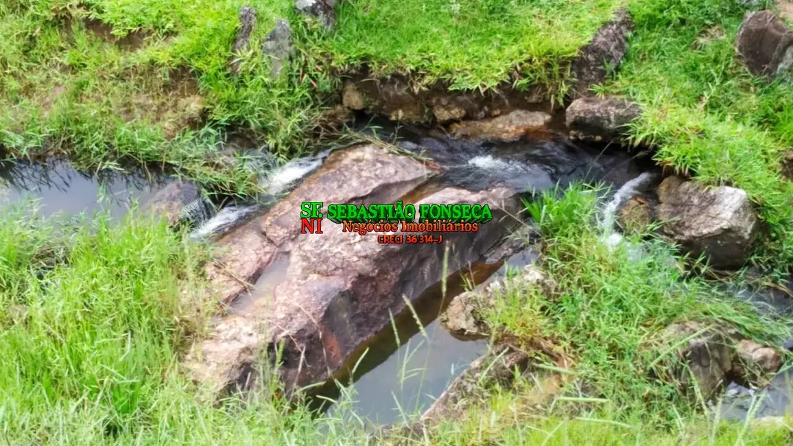 Foto 4 de Fazenda / Haras à venda, 65m2 em Centro, Cunha - SP