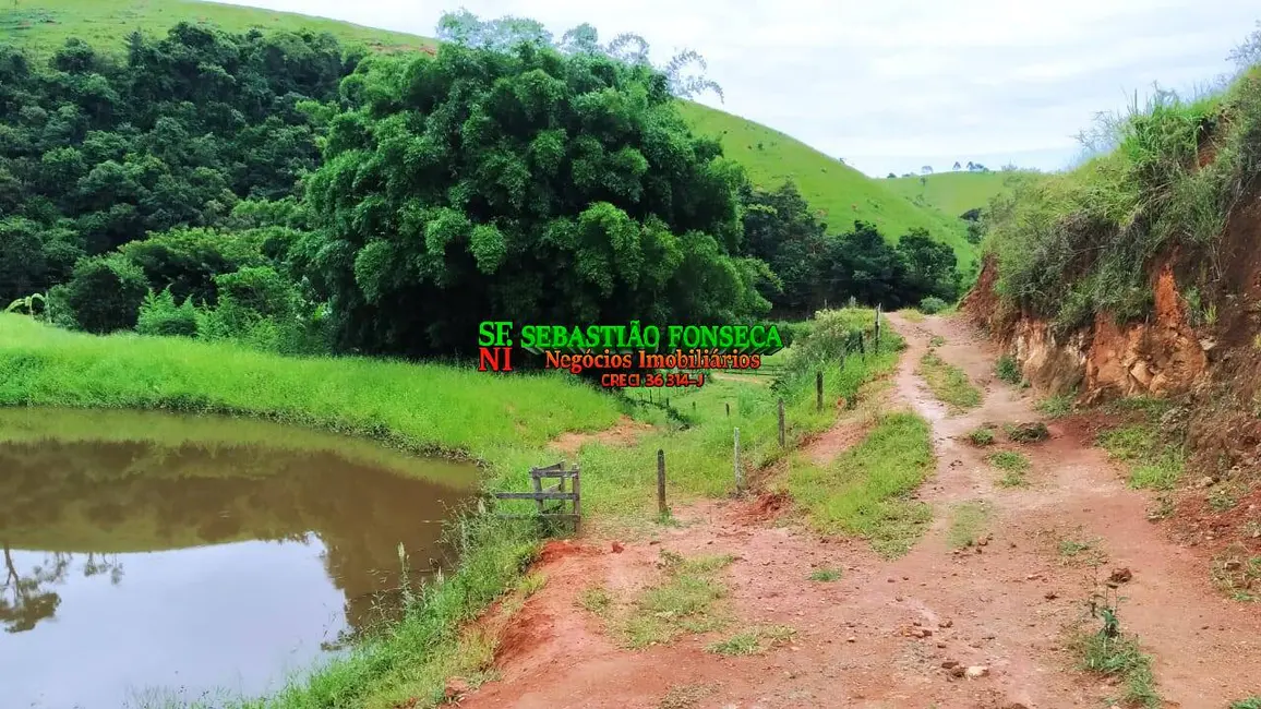 Foto 7 de Fazenda / Haras à venda em Centro, Cunha - SP