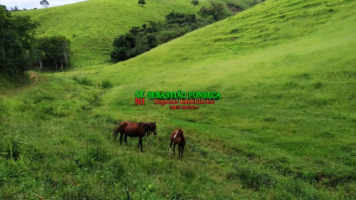 Foto 2 de Fazenda / Haras à venda em Centro, Cunha - SP