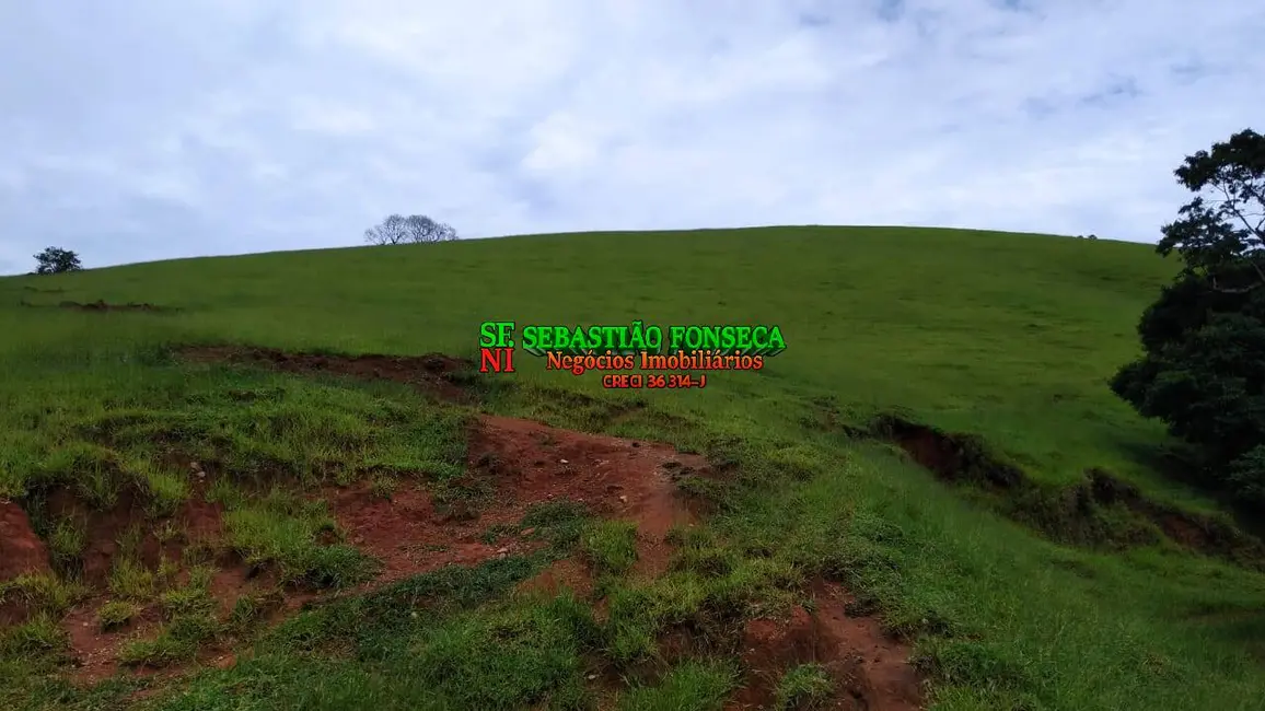 Foto 5 de Fazenda / Haras à venda em Centro, Cunha - SP