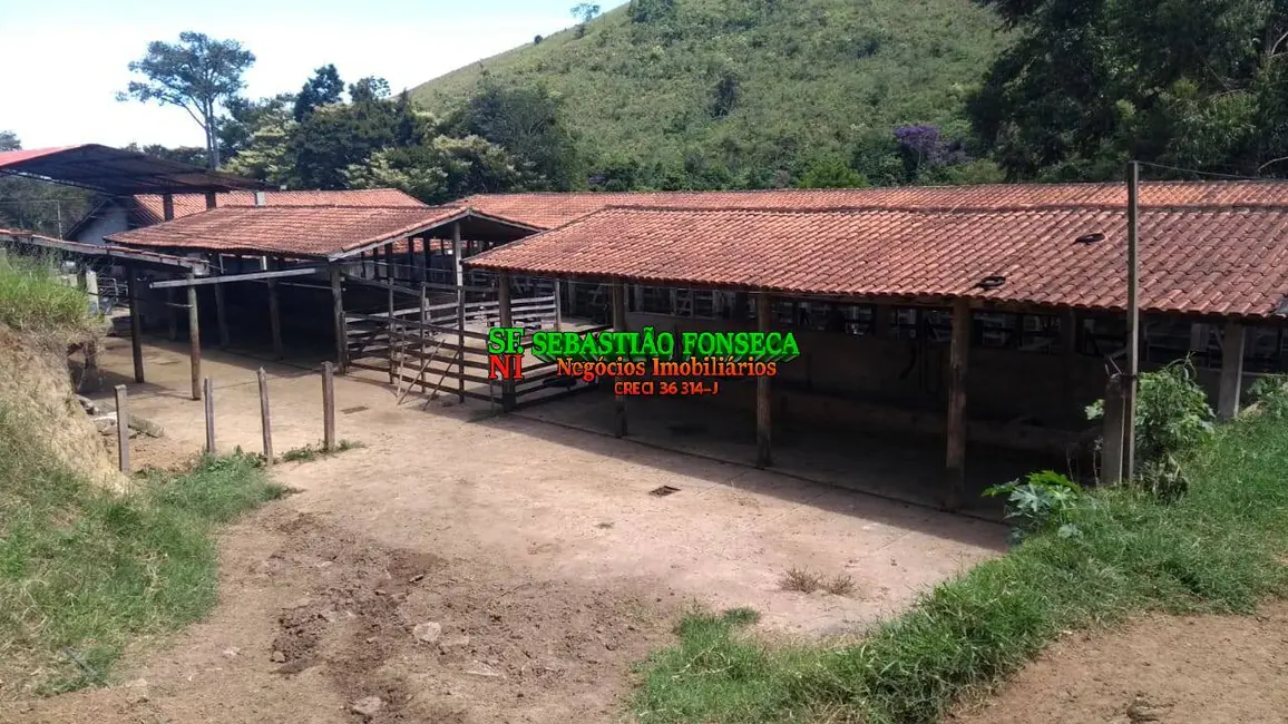 Foto 9 de Fazenda / Haras à venda, 150m2 em Centro, Cunha - SP