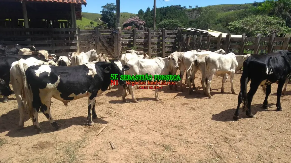 Foto 1 de Fazenda / Haras à venda, 150m2 em Centro, Cunha - SP