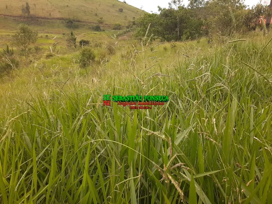 Foto 2 de Sítio / Rancho à venda, 30000m2 em Paraibuna - SP