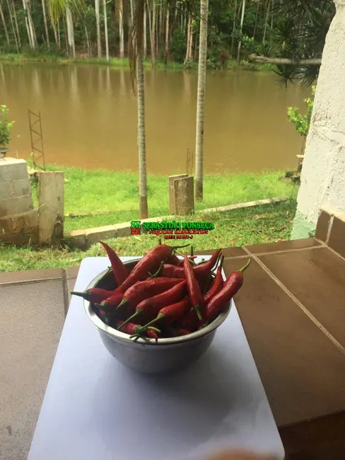 Foto 1 de Sítio / Rancho com 4 quartos à venda em Paraibuna - SP