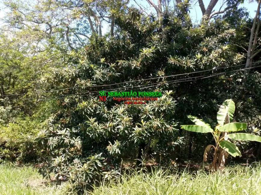 Foto 4 de Chácara com 2 quartos à venda, 110m2 em Jambeiro - SP