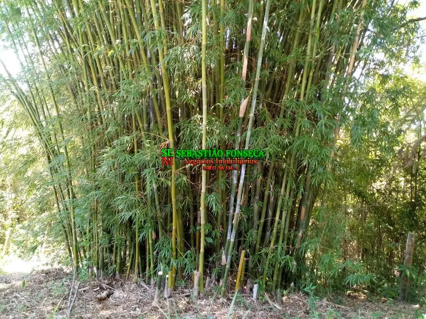 Foto 6 de Chácara com 2 quartos à venda, 110m2 em Jambeiro - SP