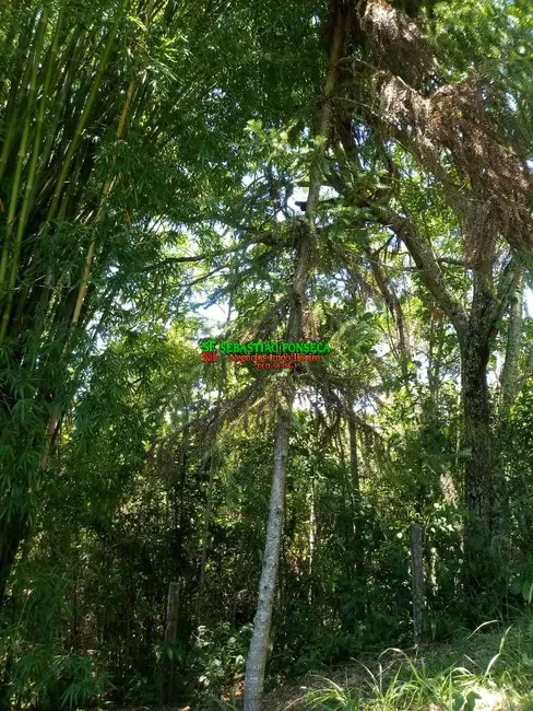 Foto 5 de Chácara com 2 quartos à venda, 110m2 em Jambeiro - SP