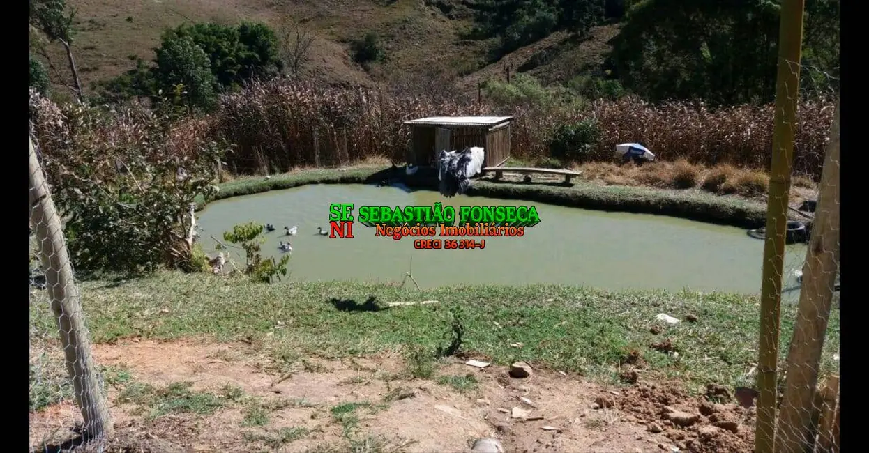 Foto 2 de Fazenda / Haras à venda, 20m2 em Sao Luiz Do Paraitinga - SP
