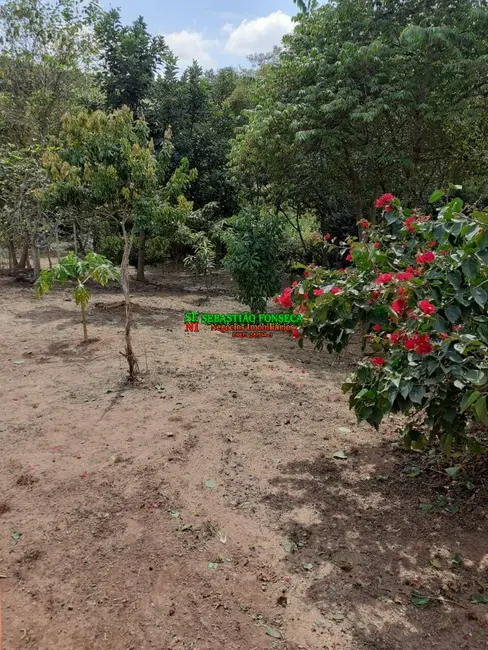 Foto 1 de Chácara com 2 quartos à venda, 6000m2 em Cachoeira De Minas - MG