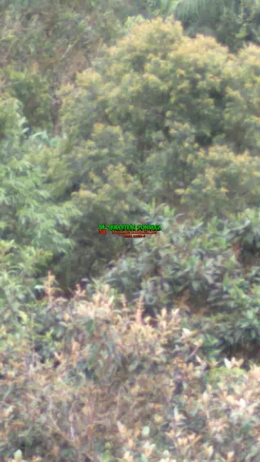 Foto 6 de Chácara à venda em Sao Jose Dos Campos - SP