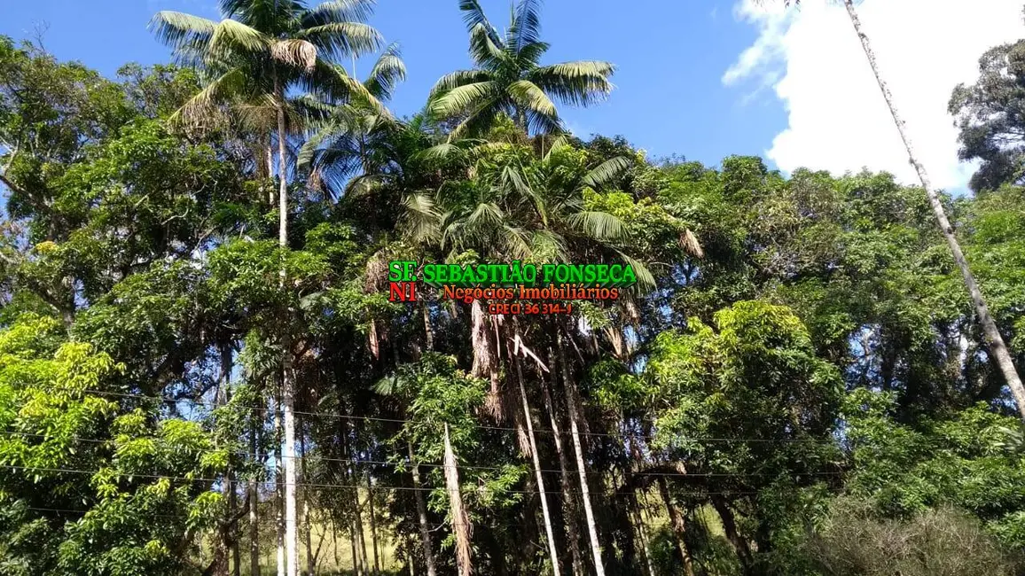 Foto 9 de Fazenda / Haras à venda, 28m2 em Jambeiro - SP