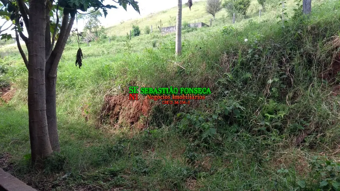 Foto 3 de Fazenda / Haras à venda, 28m2 em Jambeiro - SP